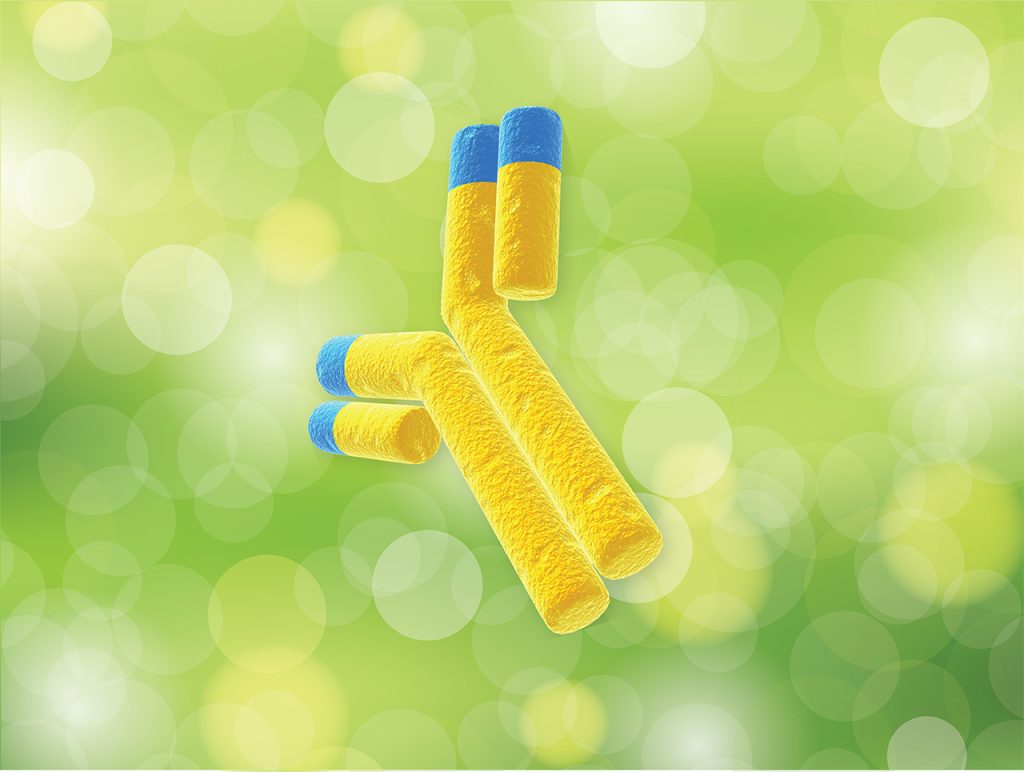 LifeTein Antibody Service